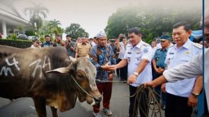 Pemprov Sulawesi Utara Salurkan Hewan Kurban, Perkuat Semangat Idul Adha 1446 H